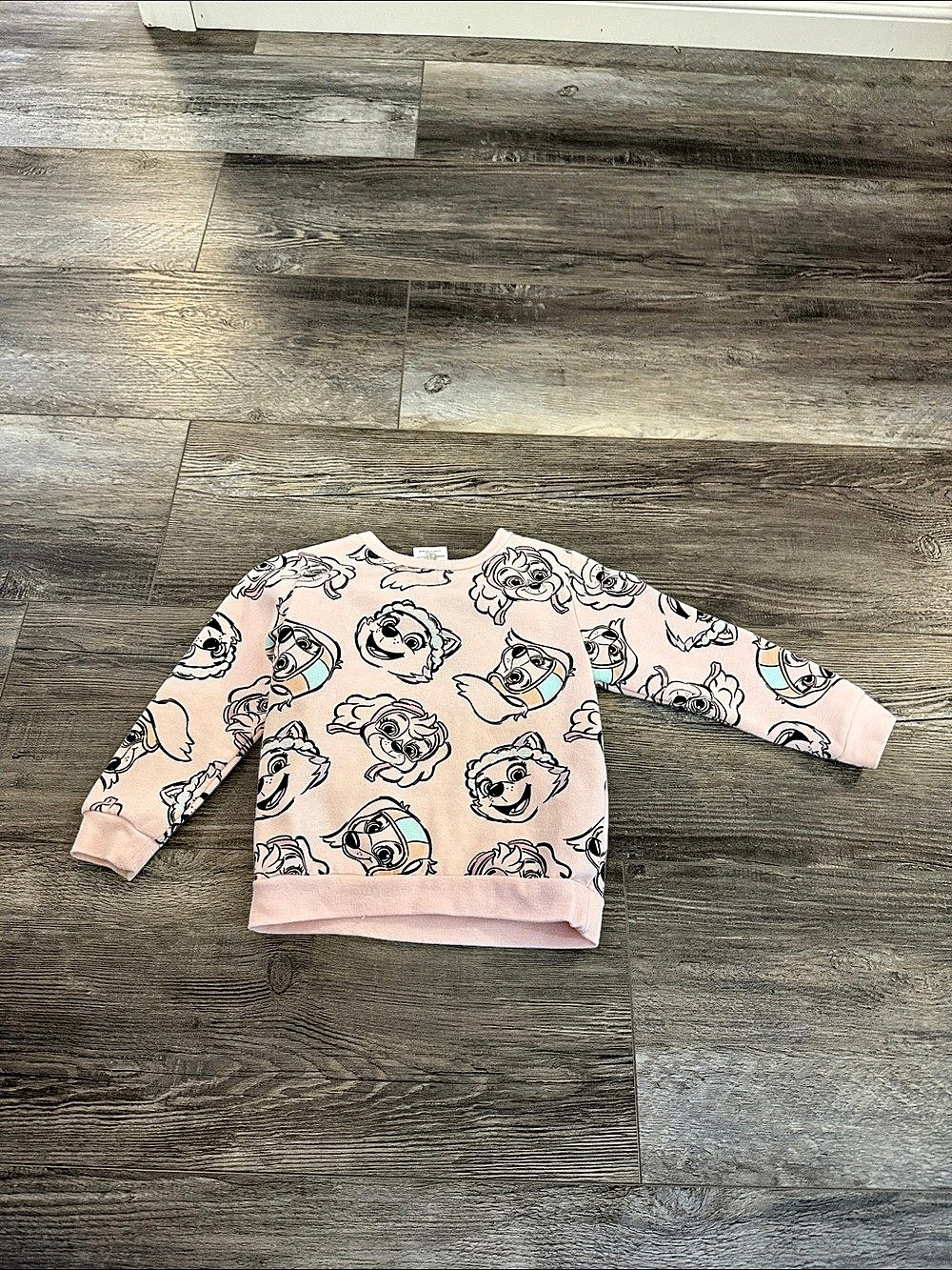Nickelodeon Paw Patrol Skye All-Over Print Sweatshirt Skye Sweatshirt Pink